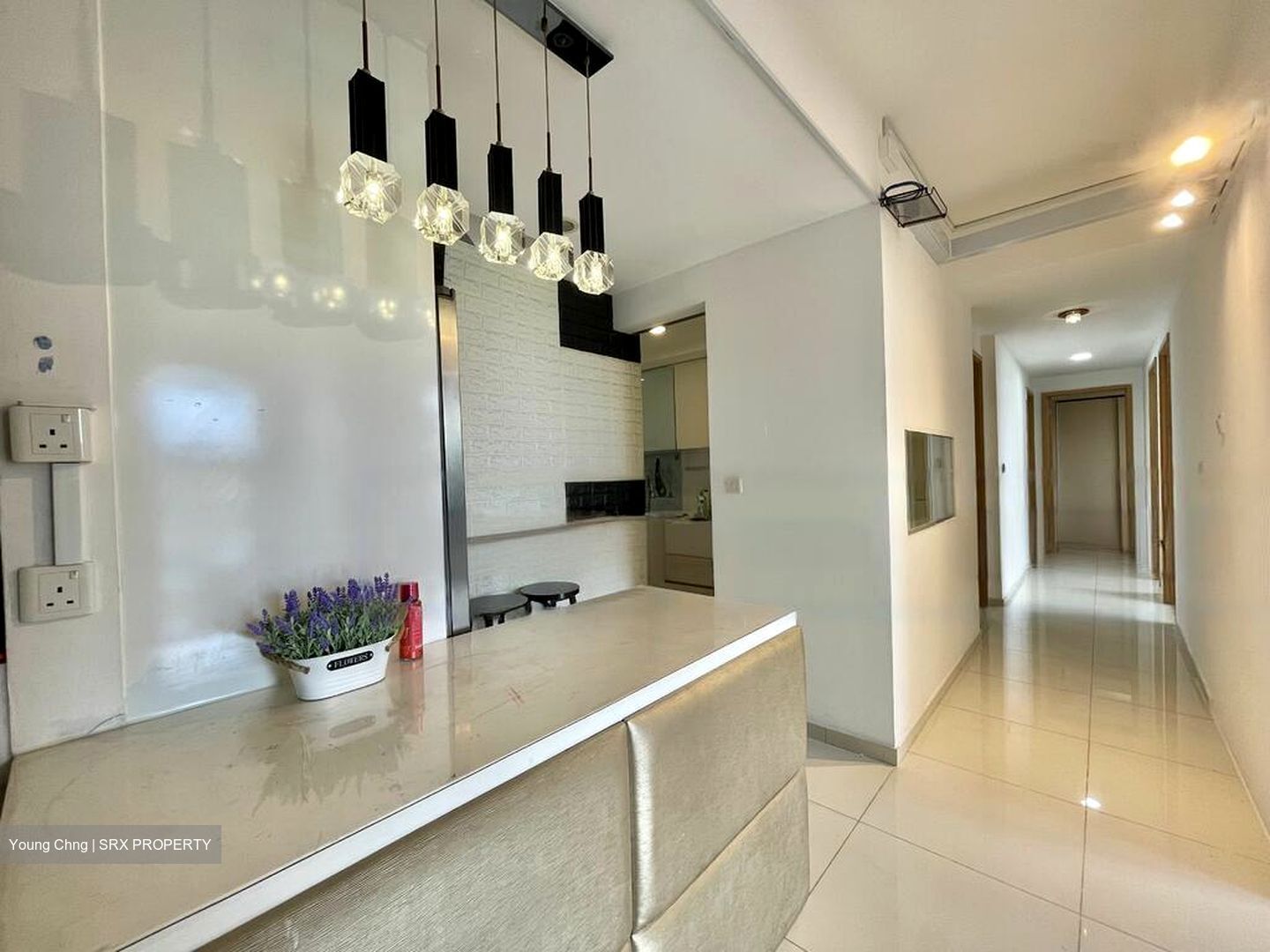 Oasis @ Elias (D18), Condominium #503698781